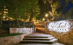 Kristal - photo 42