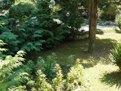 Exotica - photo 4
