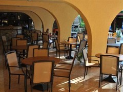 Exotica - photo 2