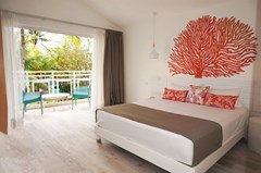 Coral Azur - photo 12