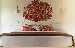 Coral Azur - photo 9