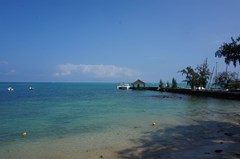 Coral Azur - photo 1