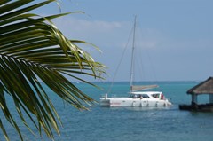 Coral Azur - photo 28