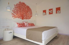 Coral Azur - photo 6