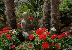 CHECKIN BLANES - photo 7