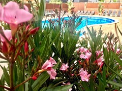 Stella Maris - photo 10