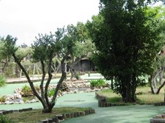 Ohtels San Salvador - photo 13