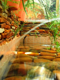 H·TOP Palm Beach & Spa - photo 33