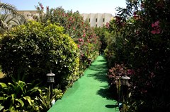 BM Beach Hotel: Garden - photo 11