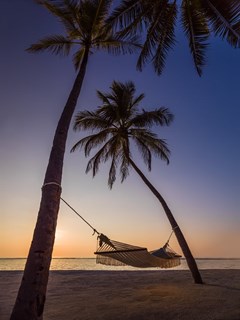 One&Only Reethi Rah - photo 61