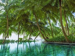 One&Only Reethi Rah - photo 253