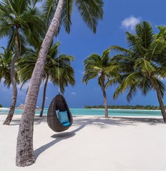 One&Only Reethi Rah - photo 40
