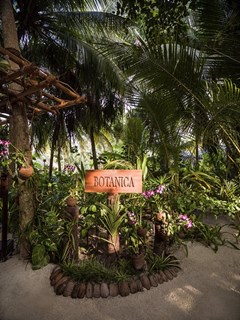 One&Only Reethi Rah - photo 154