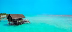 One&Only Reethi Rah - photo 109