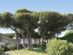 Gallia Hotel - photo 2