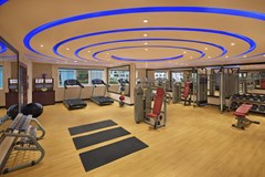 DoubleTree by Hilton Hotel and Residences Dubai – Al Barsha: Gym - photo 7
