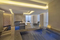 Hyatt Regency Dubai Creek Heights: Spa and wellness - photo 3