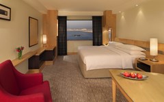 Hyatt Regency Dubai: Room - photo 8