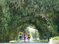 Esperides Beach: Sports and Entertainment - photo 1