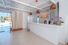 Aloe Plus Hotel: Lobby - photo 37
