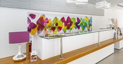 Ellia Hotel: Lobby - photo 72