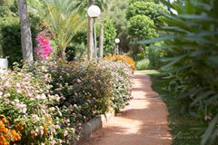 Gavimar Cala Gran Costa Del Sur: General view - photo 130