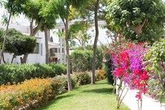 Gavimar Cala Gran Costa Del Sur: General view - photo 134
