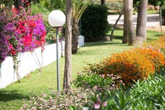 Gavimar Cala Gran Costa Del Sur: Terrace - photo 19