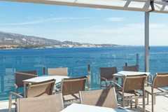 Alua Palmanova Bay: General view - photo 14