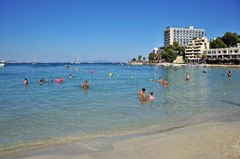 Alua Palmanova Bay: Beach - photo 11