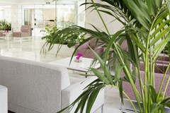 HSM S'Olivera: Lobby - photo 16