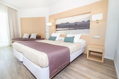 Eix Lagotel: Room Double or Twin STANDARD - photo 193