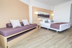 Eix Lagotel: Room Double or Twin STANDARD - photo 198