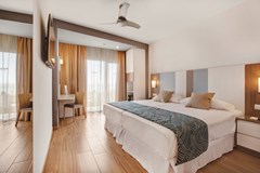 Riu Festival: Room Double or Twin STANDARD - photo 28