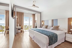 Riu Festival: Room Double or Twin SEA VIEW - photo 40