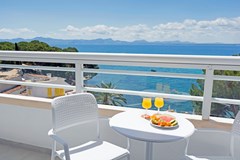 HSM President: Room SUITE SEA VIEW - photo 51