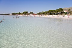 JS Sol de Alcudia: Beach - photo 42