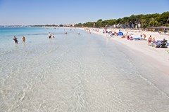 JS Sol de Alcudia: Beach - photo 50