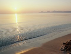 JS Sol de Alcudia: Beach - photo 57