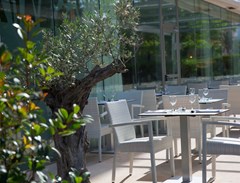 JS Sol de Alcudia: Terrace - photo 100