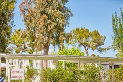 Astoria Playa: Terrace - photo 11