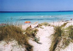 Venecia Apartamentos: Beach - photo 9