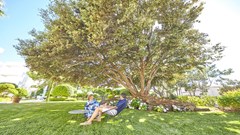 Prinsotel Mal Pas: Terrace - photo 19