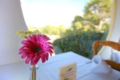 Club Santa Ponsa: Restaurant - photo 10