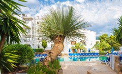 ONA Surfing Playa: Pool - photo 30