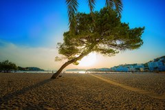 ONA Surfing Playa: Beach - photo 16