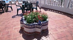 Betania: Terrace - photo 29