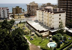 Monarque Cendrillon: General view - photo 26