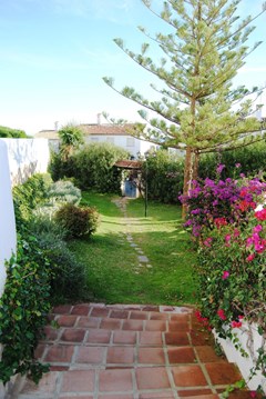 Apartamentos Torrenueva Park: Terrace - photo 3