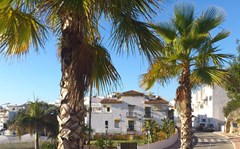 Hotel Playamaro: General view - photo 25